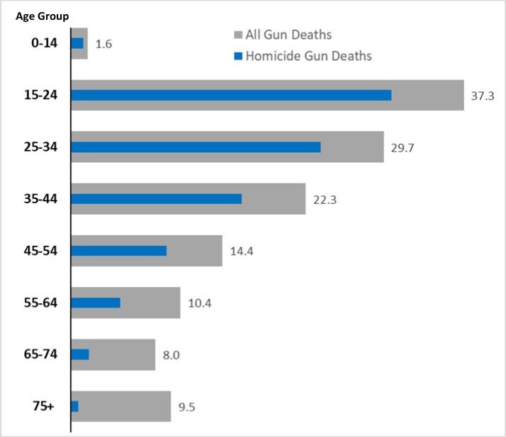 2021 Gun death rate, by age, with insert bar representing homicides. 